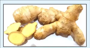 How To Weight Loss Fast: Ginger Rhizome