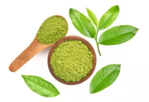 How To Weight Loss Fast: Green Tea Extract