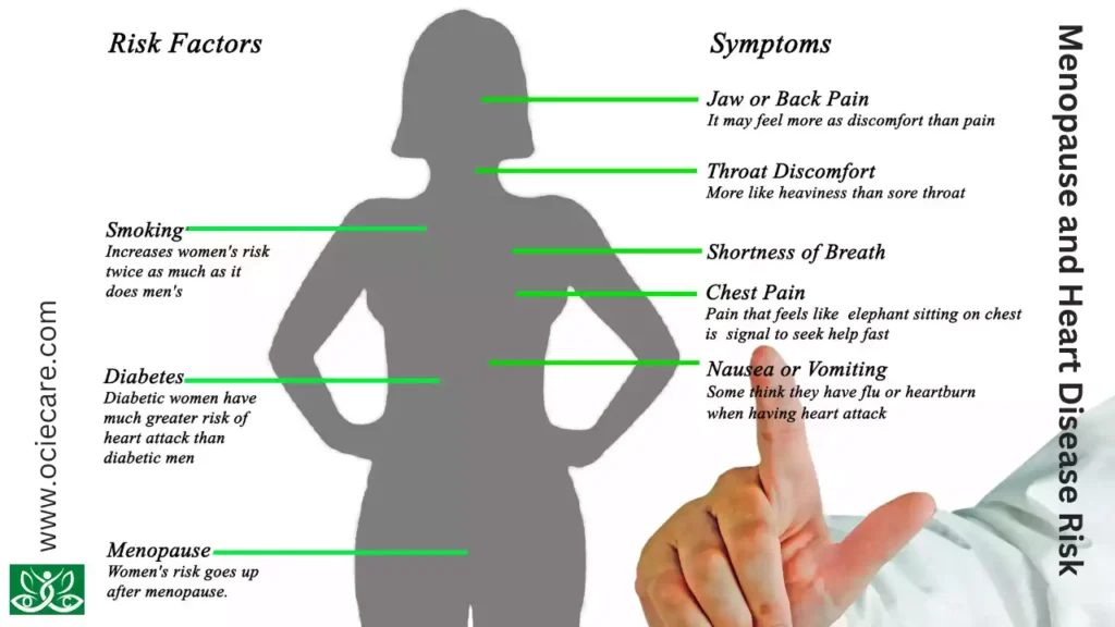 Menopause and Heart Disease Risk