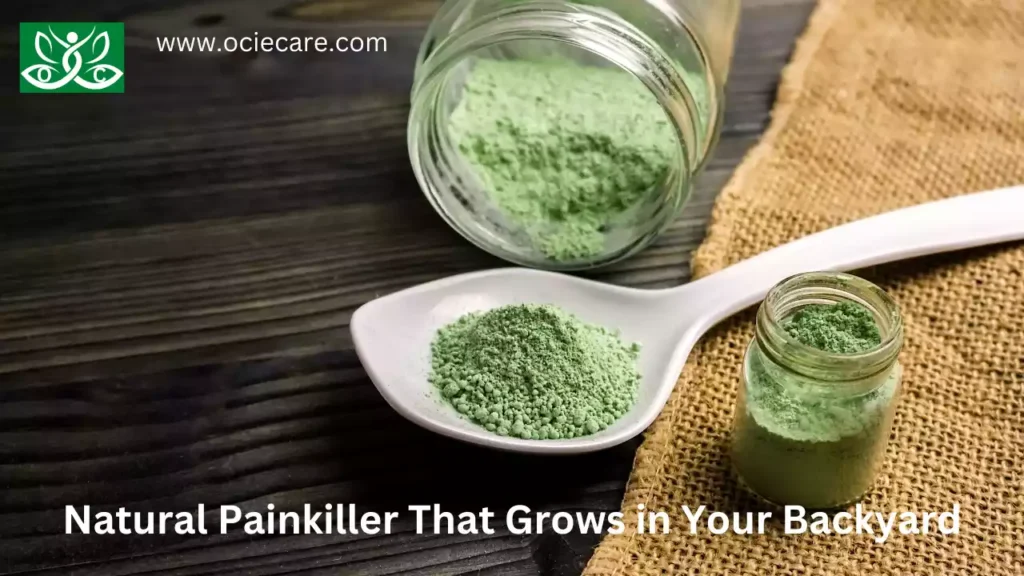 Natural Painkiller That Grows in Your Backyard