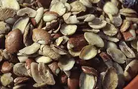 How To Weight Loss Fast: Dika Nut