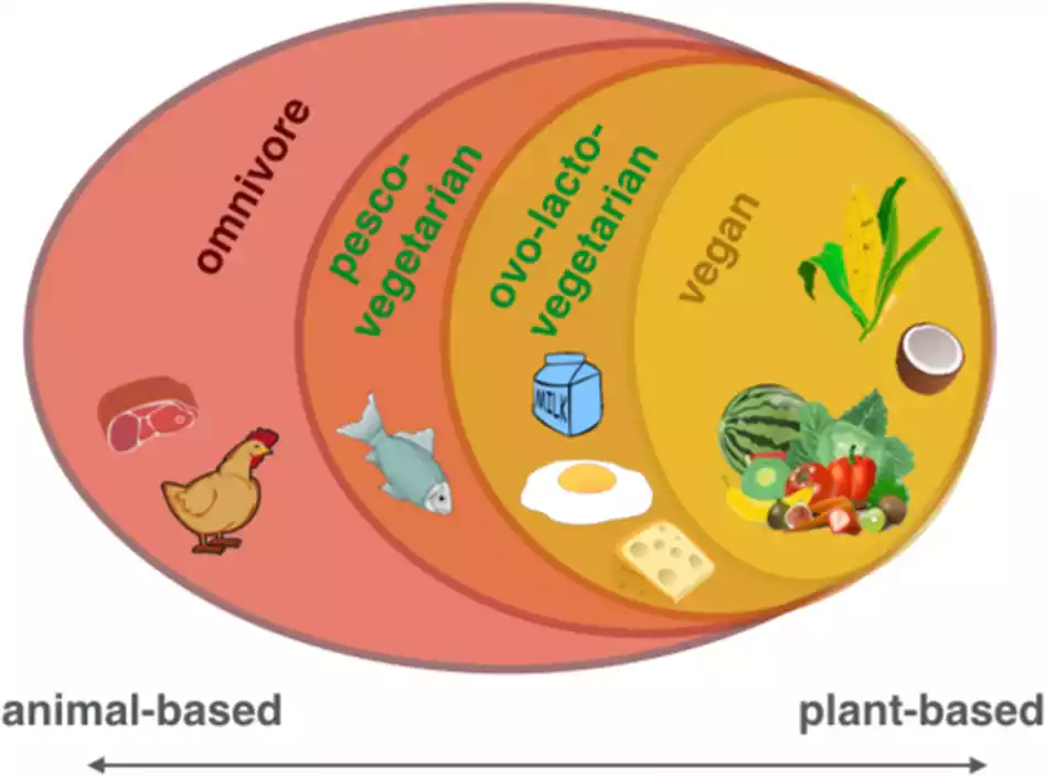 How Vegan Diet Helps to Improve: Magically On Body & Mind, Digestion & Weight In 15 Days