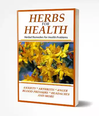 Herbs for Health: Harnessing Nature's Powerful Healing Power In 2023