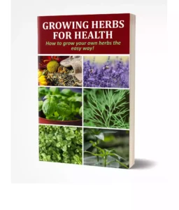 Herbs for Health: Harnessing Nature's Powerful Healing Power In 2023