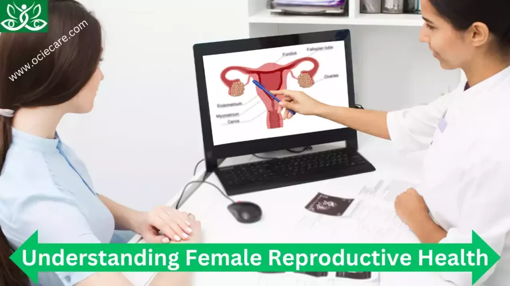 Understanding Female Reproductive Health