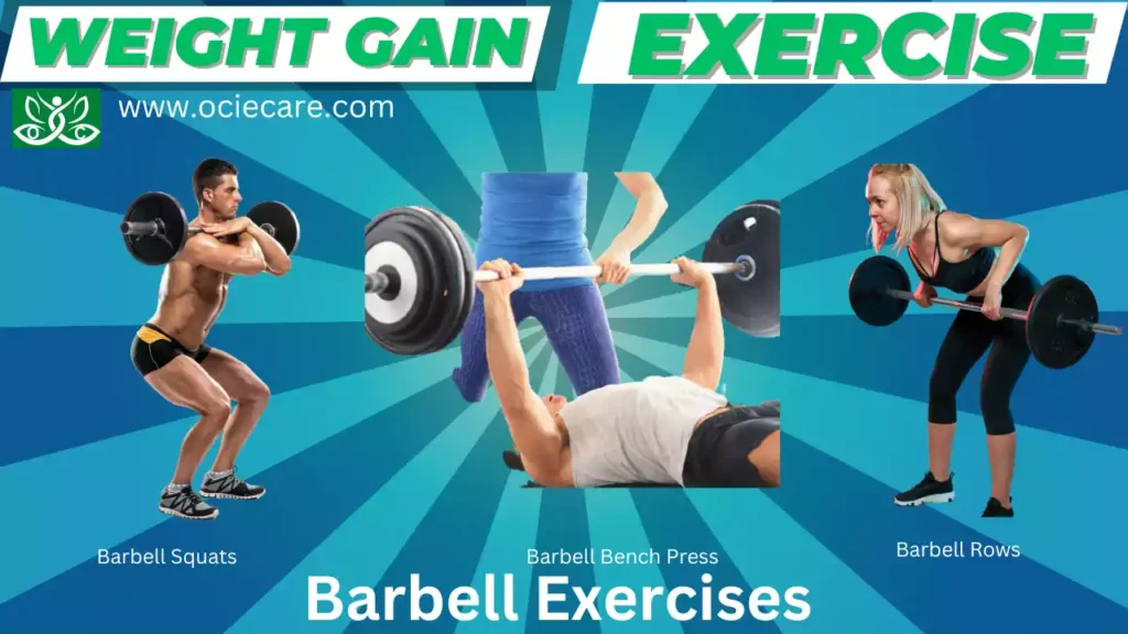 Weight Gain Exercise Barbell Exercises