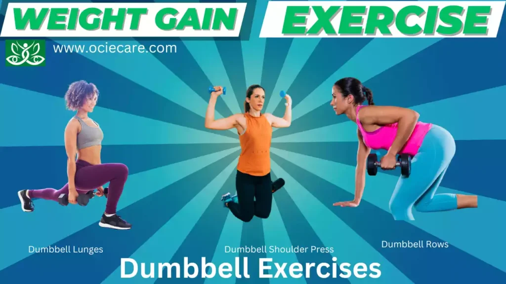 Weight Gain Exercise Dumbbell Exercises