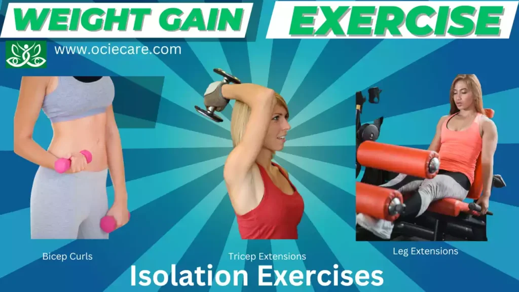 Weight Gain Exercise Isolation Exercises