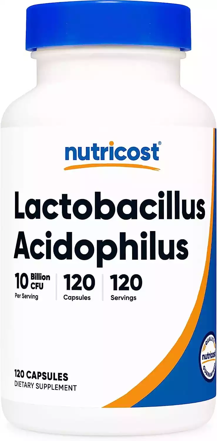 Lactobacillus acidophilus Probiotic