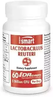 Lactobacillus reuteri