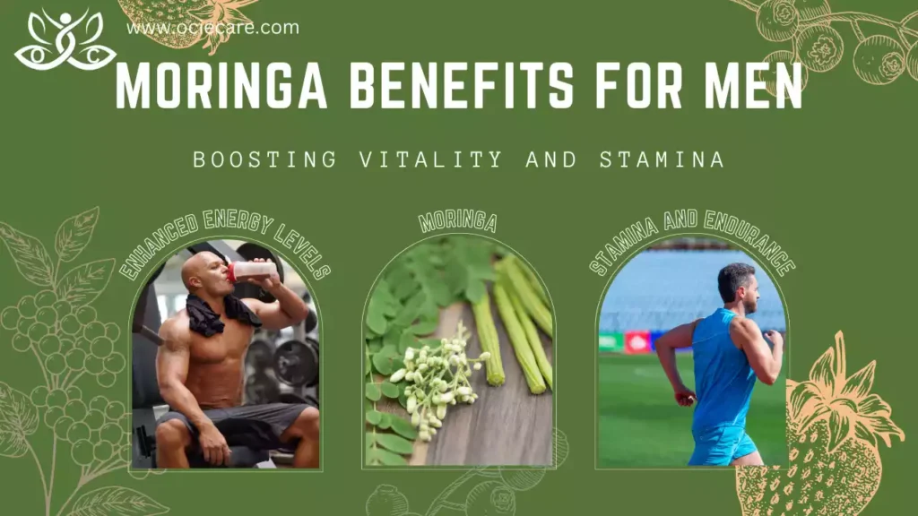 Moringa Benefits for Men-Boosting Vitality and Stamina