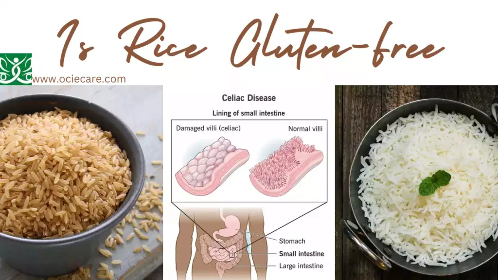 Is Rice Gluten-Free