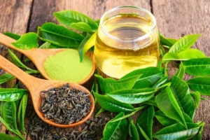 Green Tea Extract