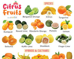 Citrus fruits