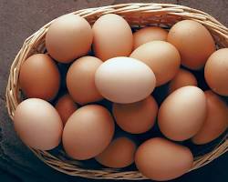 Eggs