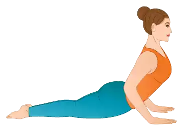 Cobra Pose (Bhujangasana)