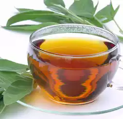 Eucalyptus Tea